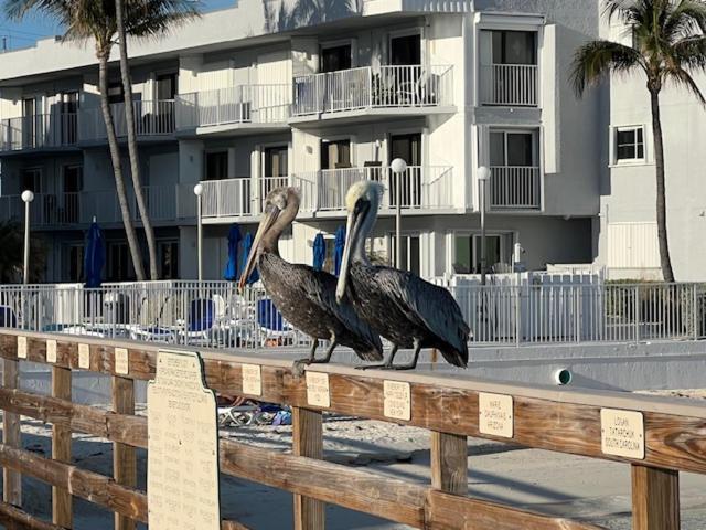 Casa Clara Condos Key Colony Beach Esterno foto